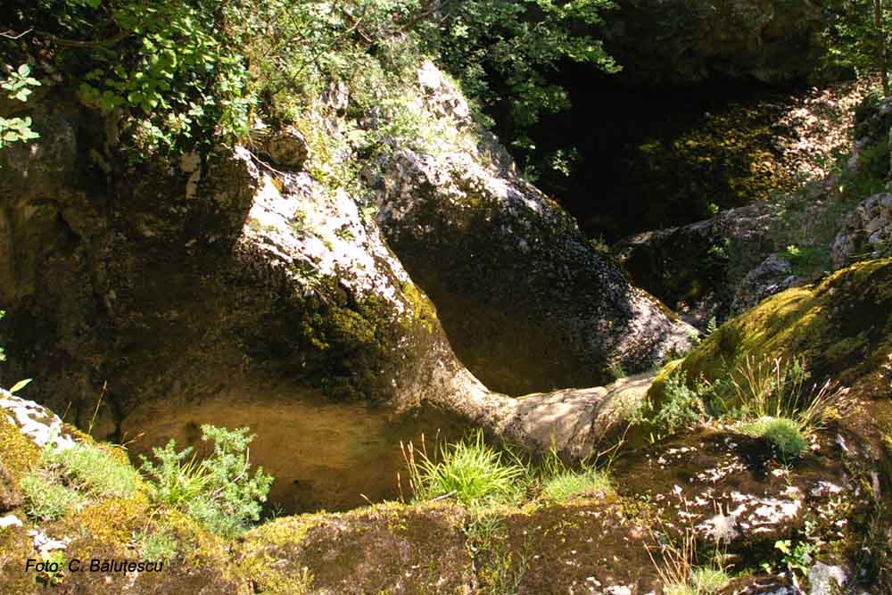 Pestera Tolosu - Foto: C.Balutescu